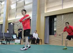 关于羽毛球夜战：江汉灰熊队鏖战江南貔貅队，速度优势明显年轻人站出来了的信息-平博下载